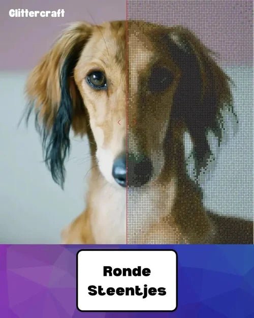 Voor en na effect van een eigen foto van een hond naar een diamond painting met ronde steentjes van Glittercraft.