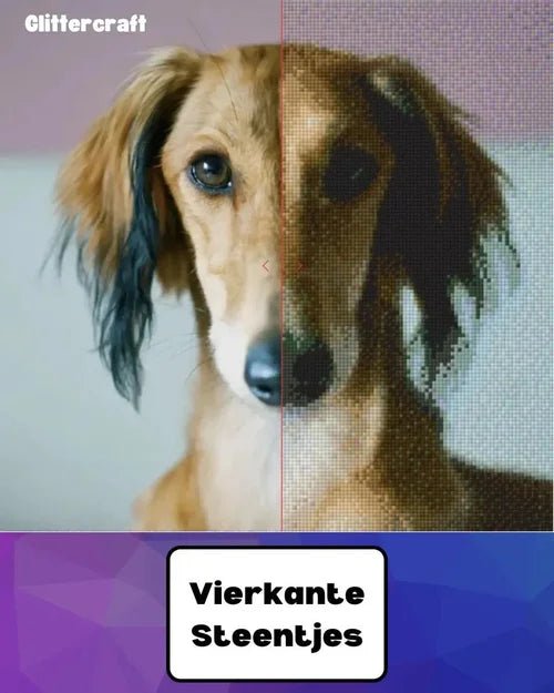 Voor en na effect van een eigen foto van een hond naar een diamond painting met vierkante steentjes van Glittercraft.